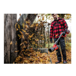 Soplador de hojas inalámbrico Professional GP-LB 36/270 Li E BL-Solo Einhell - Imagen 3